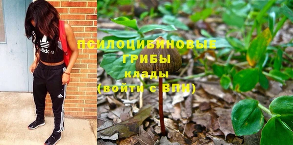 герыч Майский