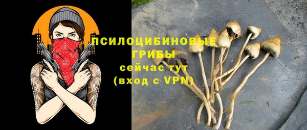 винт Медвежьегорск