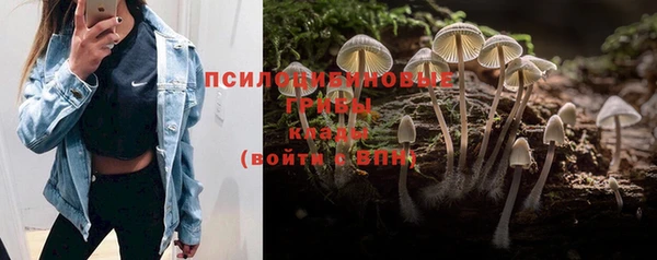 молекула духа Магадан