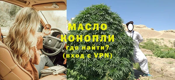 хмурый Осинники