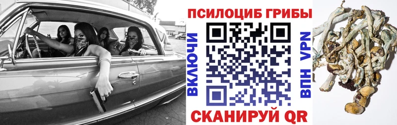 Галлюциногенные грибы мицелий  где продают   Магнитогорск 