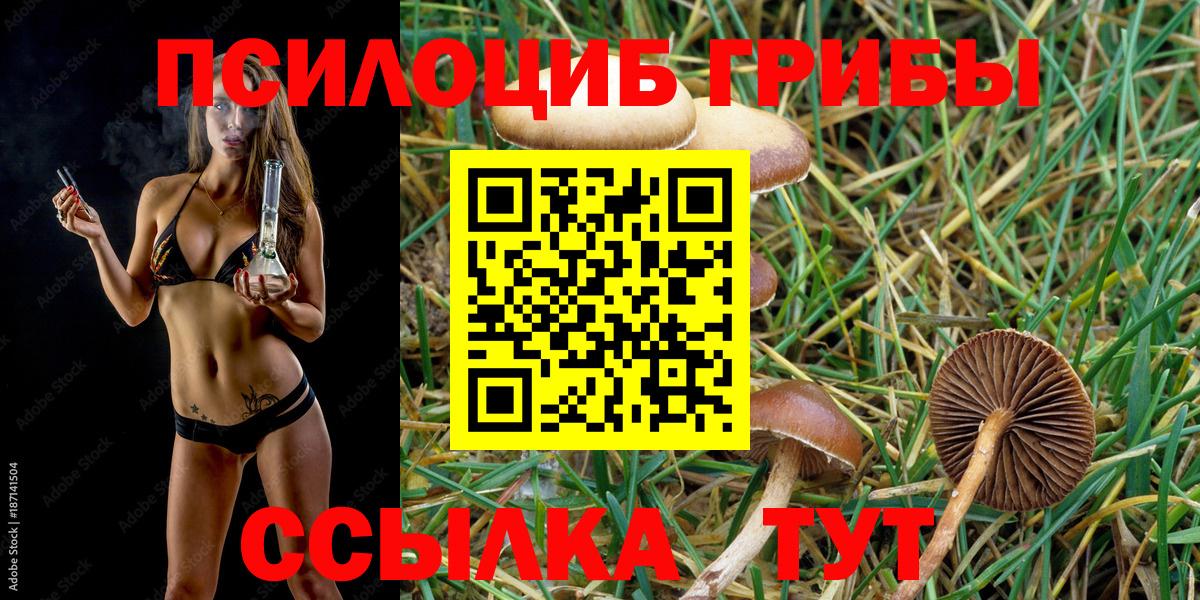Псилоцибиновые грибы мухоморы Магнитогорск