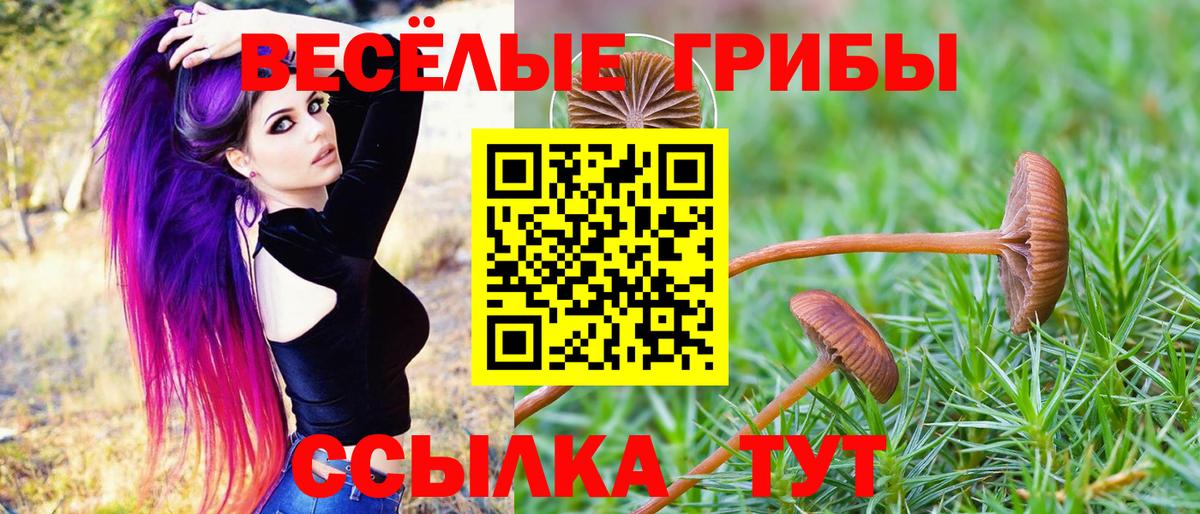 Галлюциногенные грибы Psilocybe  Вход с VPN  Галлюциногенные грибы GOLDEN TEACHER  Магнитогорск 